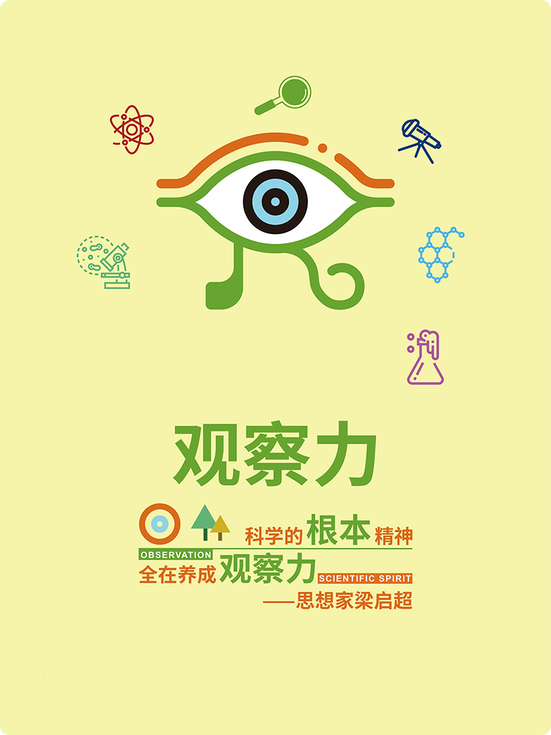 观察力