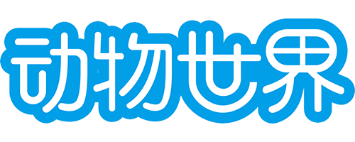 主题图标